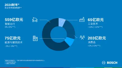 2024财年：市场环境影响下的各业务领域销售额
