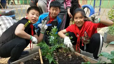 学会感受自然的魅力 