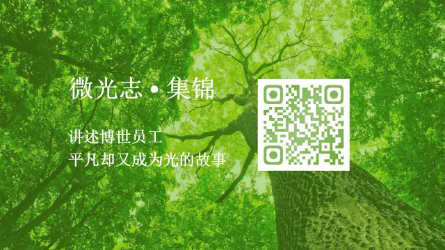 微光志 · 集锦