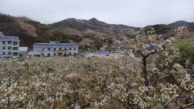 乡村文旅助增收、促发展