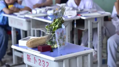 来自家乡的自然物