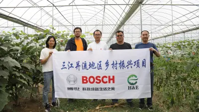 梨树种植、葡萄种植、藜麦种植