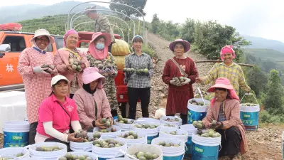百香果农丰收采摘合影