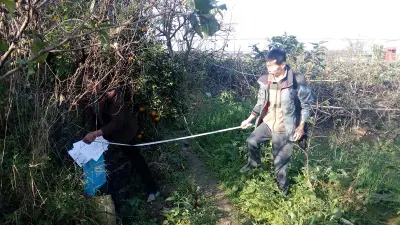 家园湿地—农村社区可持续生活恢复项目